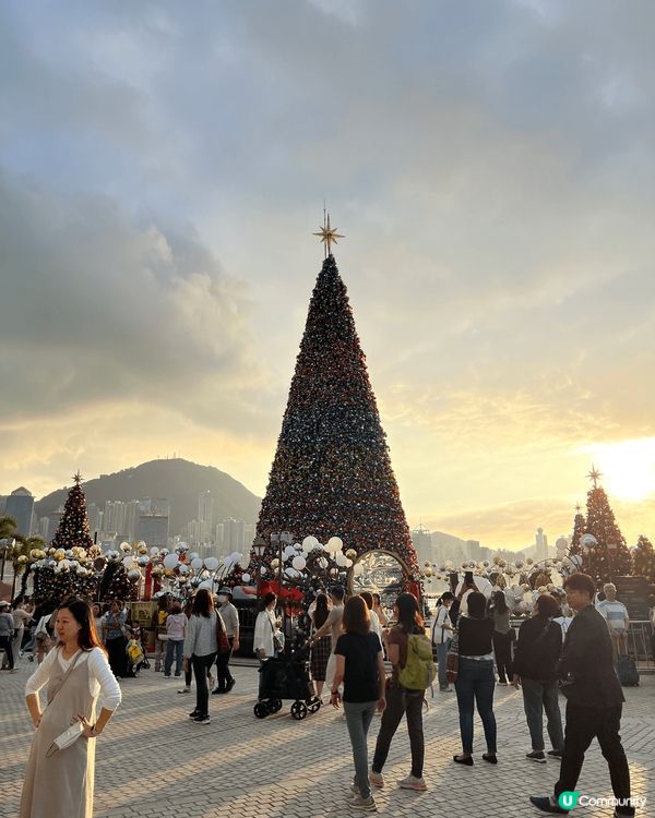 西九文化區有180度美麗維港景色，在藝術公園的草地可欣賞日落...