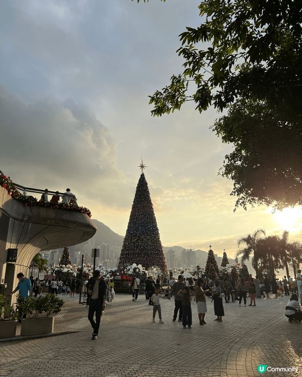 西九文化區有180度美麗維港景色，在藝術公園的草地可欣賞日落...