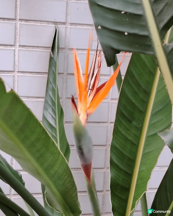 呢啲都係我和屋企人，同埋我屋企附近嘅環境，我都非常喜歡我自己...