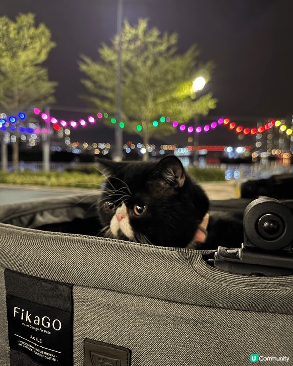 我想去AIA嘉年華，裏面氣氛好開心，大人小朋友都啱玩，夜晚啲...