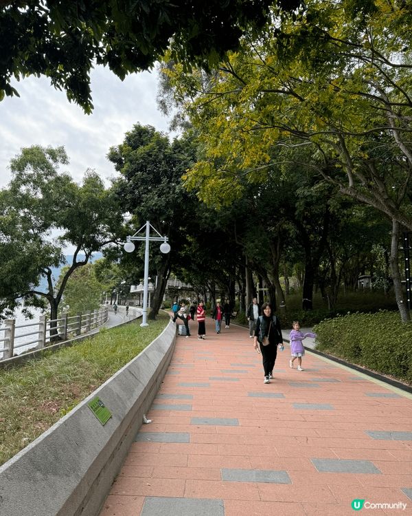 大埔海濱公園，可以踩單車，睇同影風景，又有草地，同大自然玩遊...