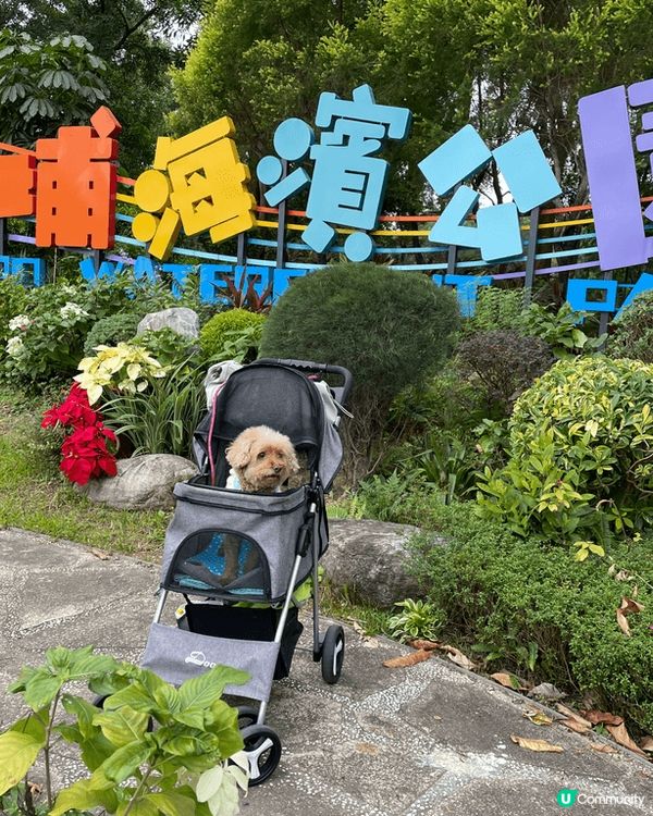 大埔海濱公園，可以踩單車，睇同影風景，又有草地，同大自然玩遊...