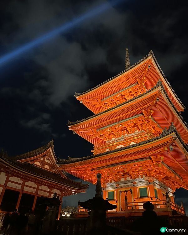 京都清水寺平時只係日間開放，但每年紅葉季節(大約11月尾)都...