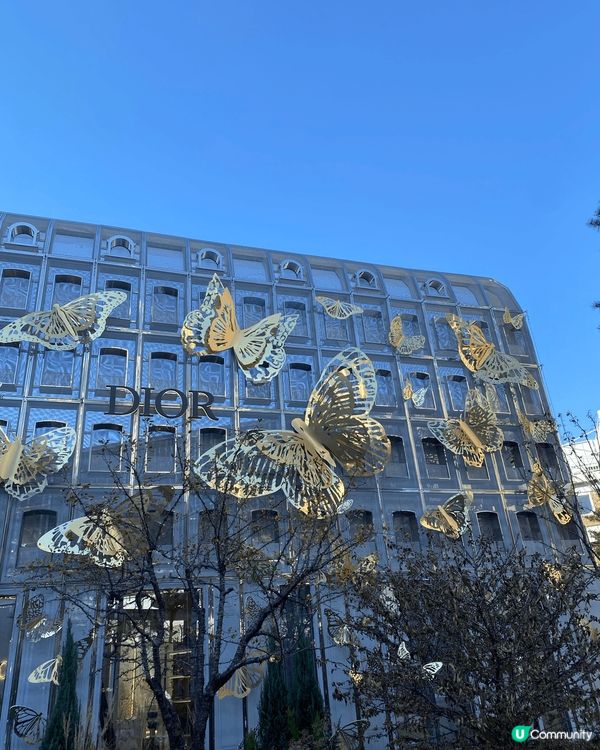 首爾是女生百去不厭的地方，大愛！