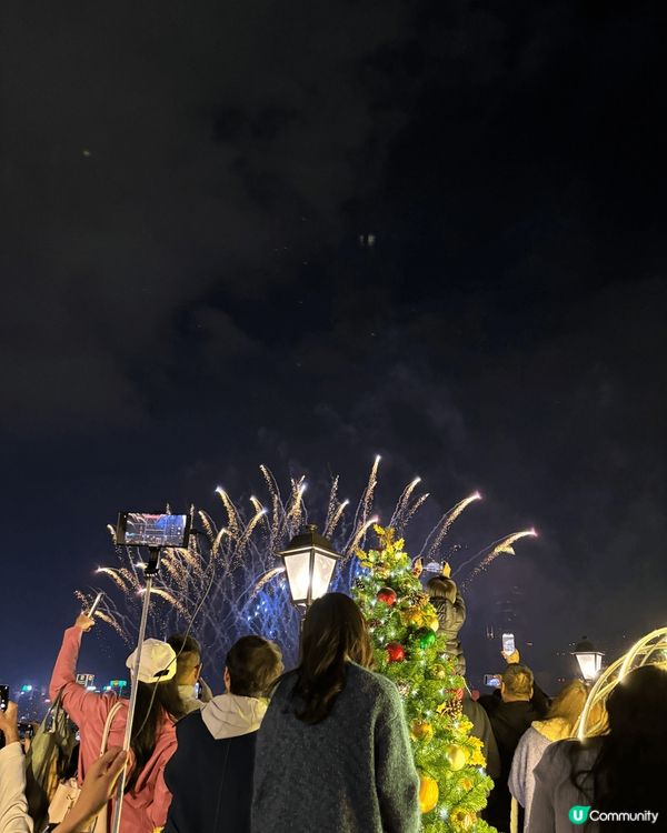 西九文化區，原因係相關地方可以讓毛孩放電及欣賞煙火匯演