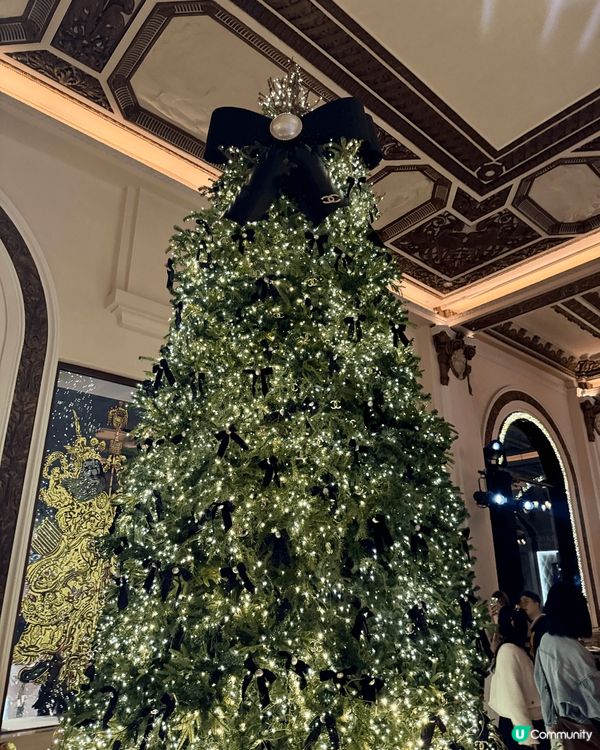 全港最靚聖誕樹🎄每年都不會令人失望💖
