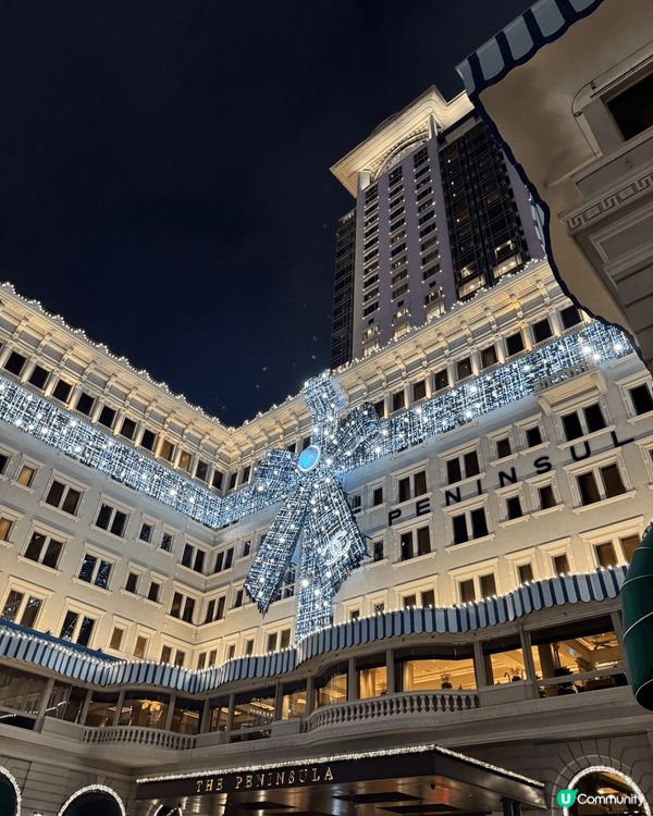 全港最靚聖誕樹🎄每年都不會令人失望💖