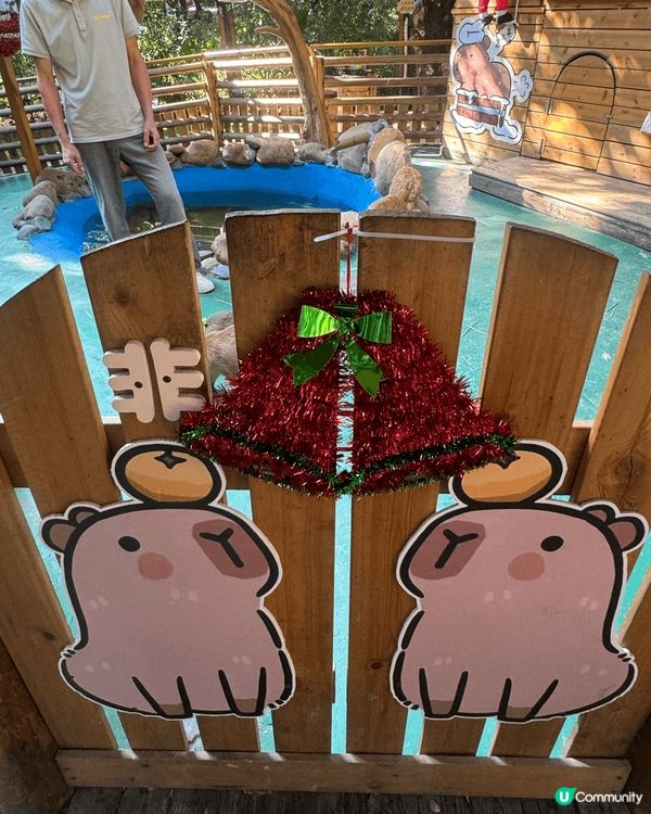 深圳WOWO窩窩萌寵森友會（世界之窗店）有很多動物也可餵飼，...