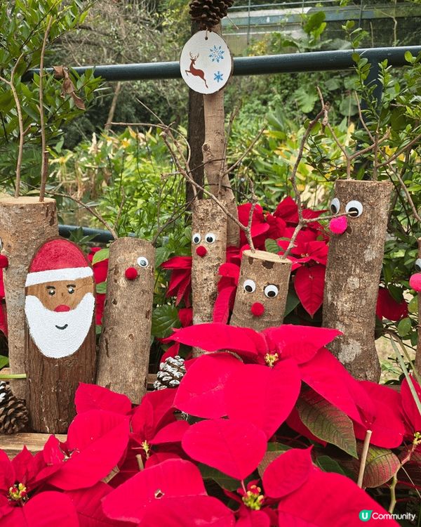 喜愛大自然，一定要去嘉道理農場。