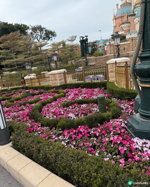 香港廸士尼因為有有不同美景去打卡，日夜不同燈光及景點