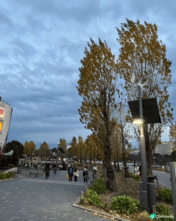 這3張相是在日本拍攝的，日與夜的景都是最吸引也是打卡熱點