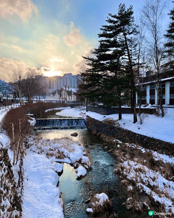 季節分明既韓國既春夏秋冬 分別係江原道 首爾同濟州 好靚✨