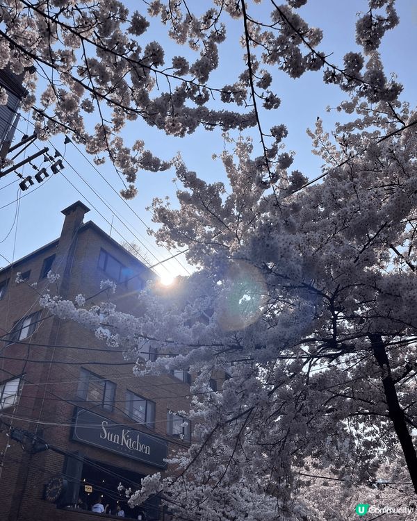 季節分明既韓國既春夏秋冬 分別係江原道 首爾同濟州 好靚✨