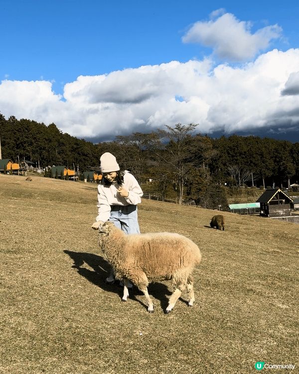 放假緊係需要去個旅行放鬆一下，今次去左位於日本靜岡縣嘅馬飼野...