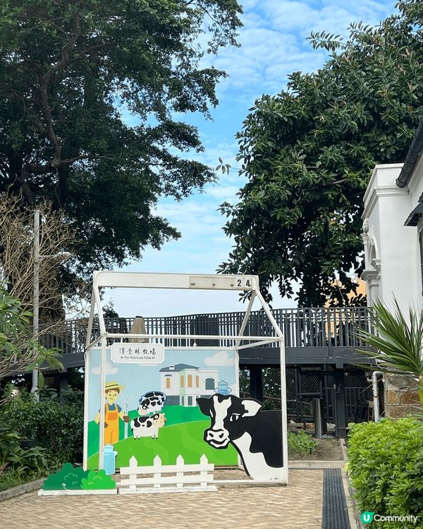 影相靚冷　　　　　　　　　　　　　　　　　　　　　　　　　　...