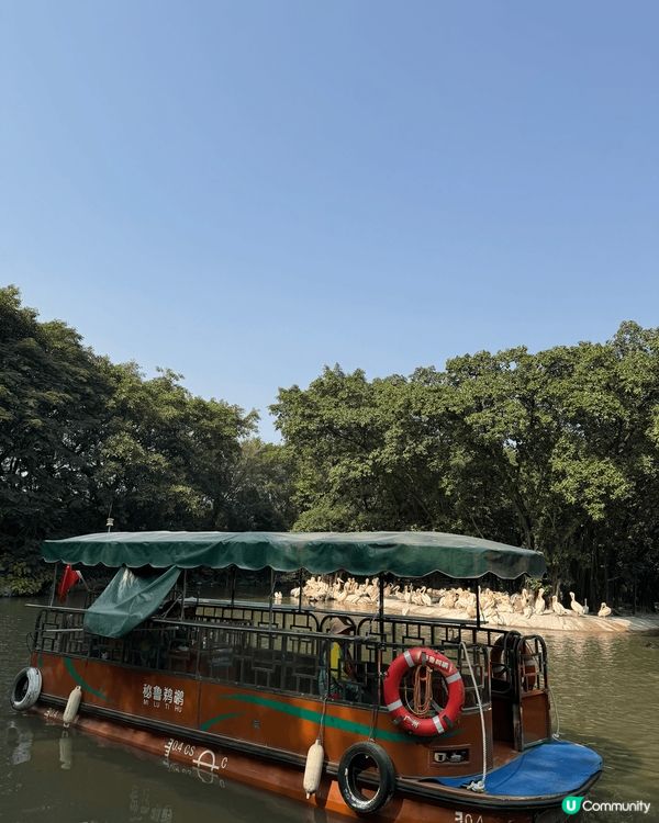 廣州長隆飛鳥樂園，鳥類天堂！🐦✨