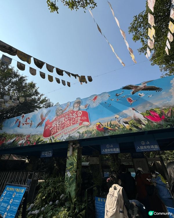 廣州長隆飛鳥樂園，鳥類天堂！🐦✨
