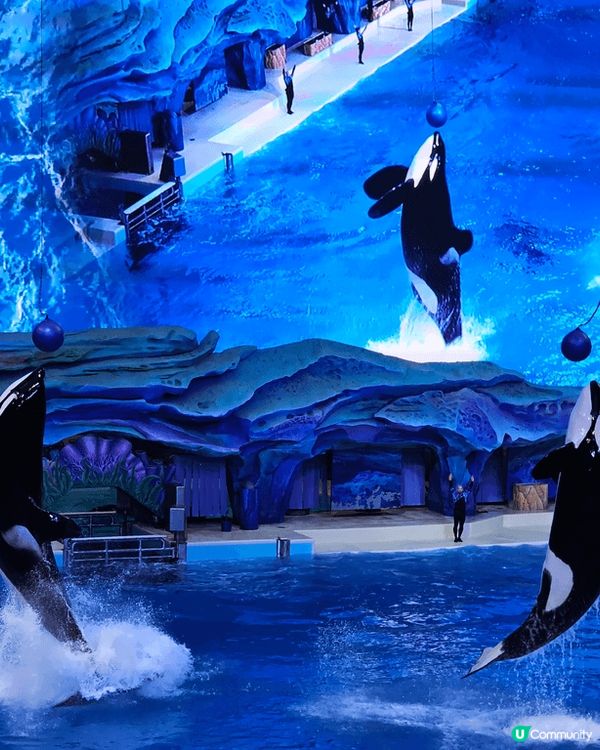 今個聖誕假期到了珠海的長隆度假園區玩，飛船樂園的室內機動遊戲...