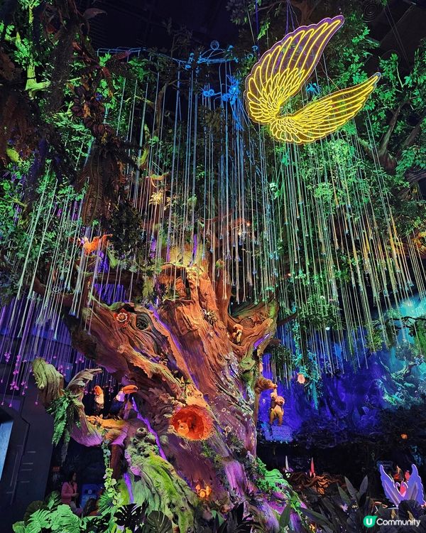 今個聖誕假期到了珠海的長隆度假園區玩，飛船樂園的室內機動遊戲...