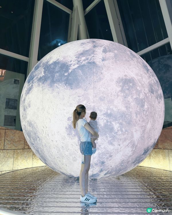 呢幾個係中秋節、聖誕節的打卡好去處，有燈飾，聖誕樹，打印卡，...