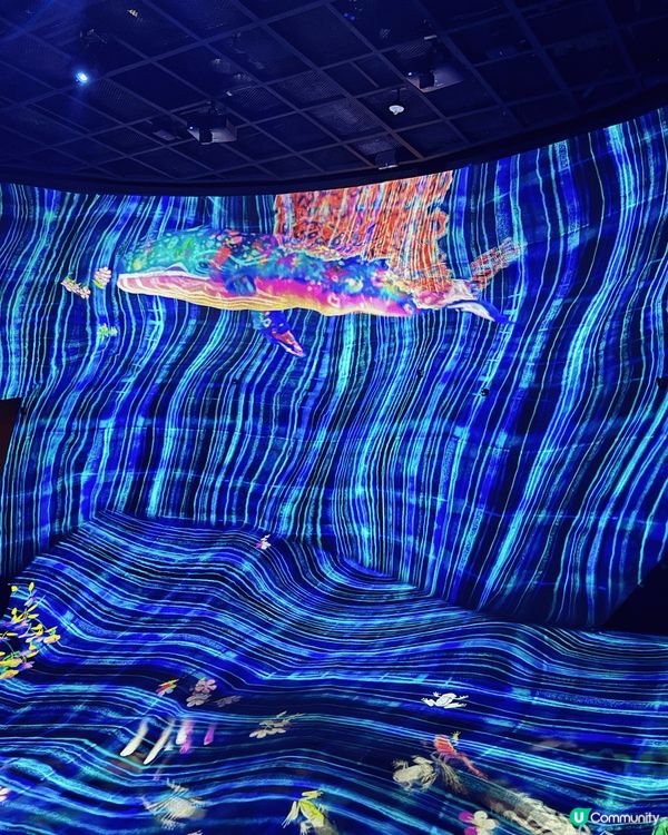 澳門的南灣雅文湖畔有水上單車，雙人MOP20(每30分鐘）。...