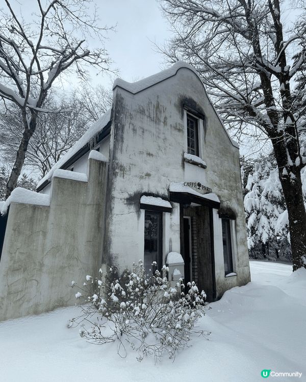 喜歡冬天的不能錯過日本雲場池，雪景如畫般，只要看到雪景和湖就...