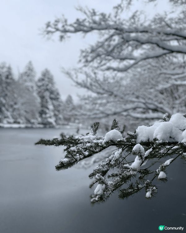 喜歡冬天的不能錯過日本雲場池，雪景如畫般，只要看到雪景和湖就...
