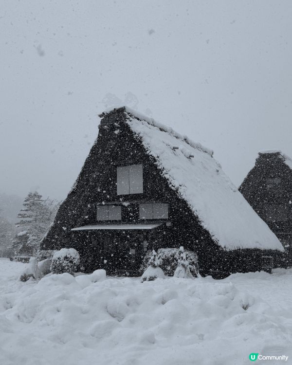 名古屋是日本中部城市，以美食、歷史和文化著稱，擁有豐富的旅遊...