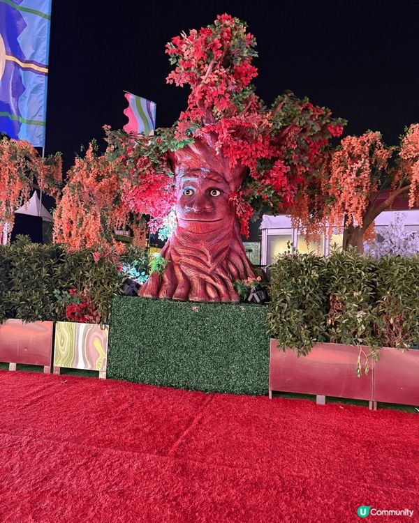 many different photo spots thi...