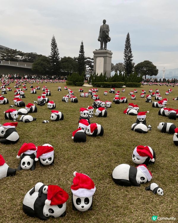 今年周圍都是熊貓打卡熱點，包括中山公園，黃竹坑southsi...