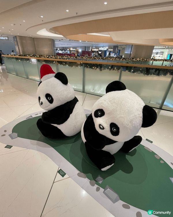 今年周圍都是熊貓打卡熱點，包括中山公園，黃竹坑southsi...