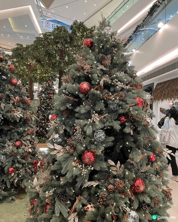 今年周圍都是熊貓打卡熱點，包括中山公園，黃竹坑southsi...