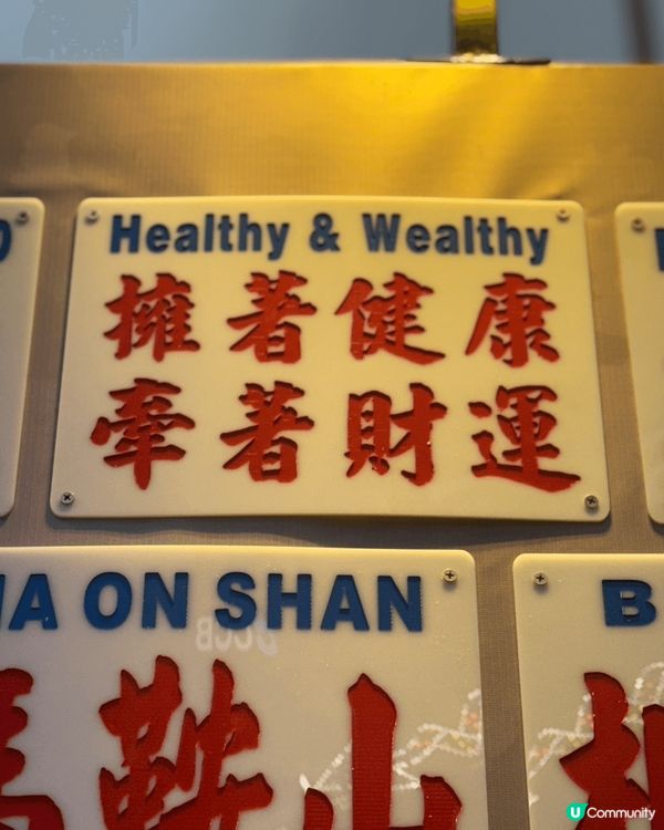 新一年希望同家人朋友分享快樂的地方，所以擇摩天輪為主要打卡位...