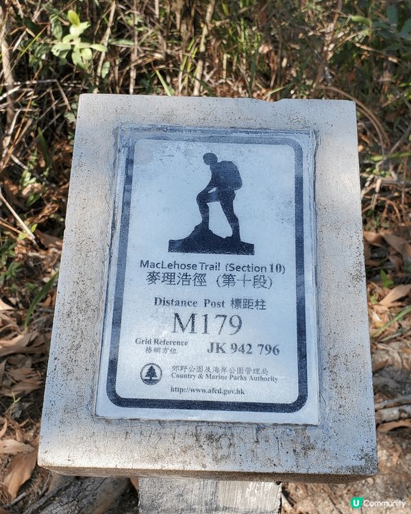 這個季節最好去行山睇红葉。天氣乾爽又唔太曬。