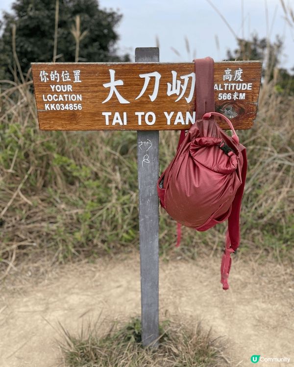 即使是行山新手，都適合行大刀屻，全程大約3-4小時，看看日落...