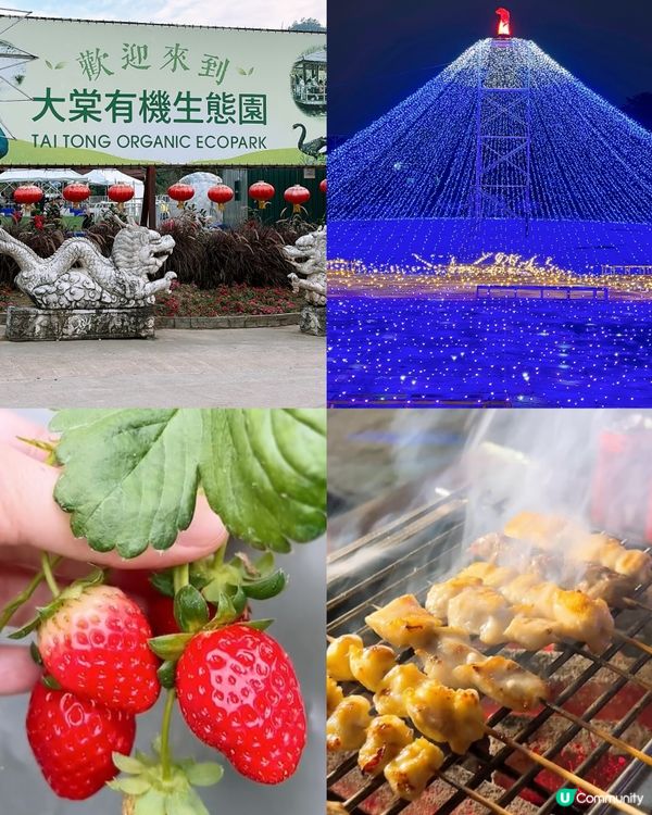 🎏元朗大棠有機生態園🌿必去‼️奇幻光影節