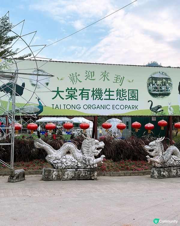 🎏元朗大棠有機生態園🌿必去‼️奇幻光影節