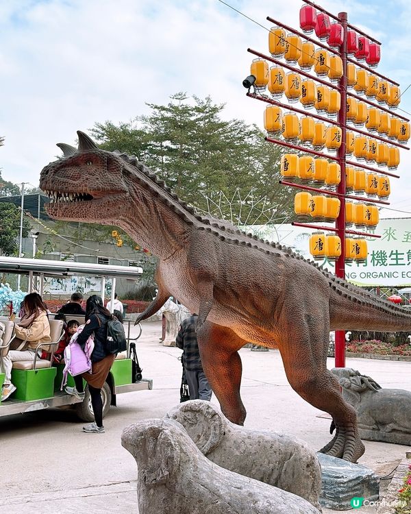 🎏元朗大棠有機生態園🌿必去‼️奇幻光影節