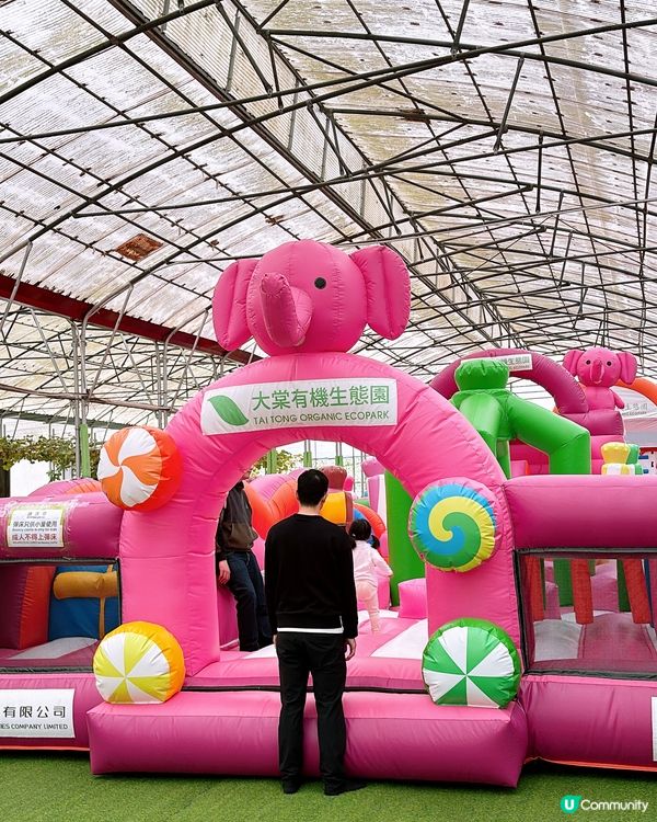 🎏元朗大棠有機生態園🌿必去‼️奇幻光影節