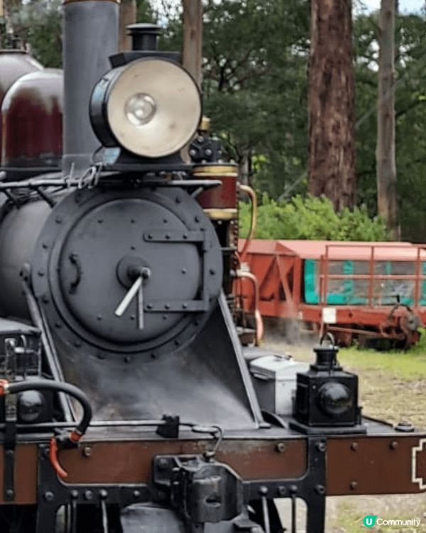 澳洲動物園和火車站，推介原因可坐在火車兩側伸對腳出去，又得意...