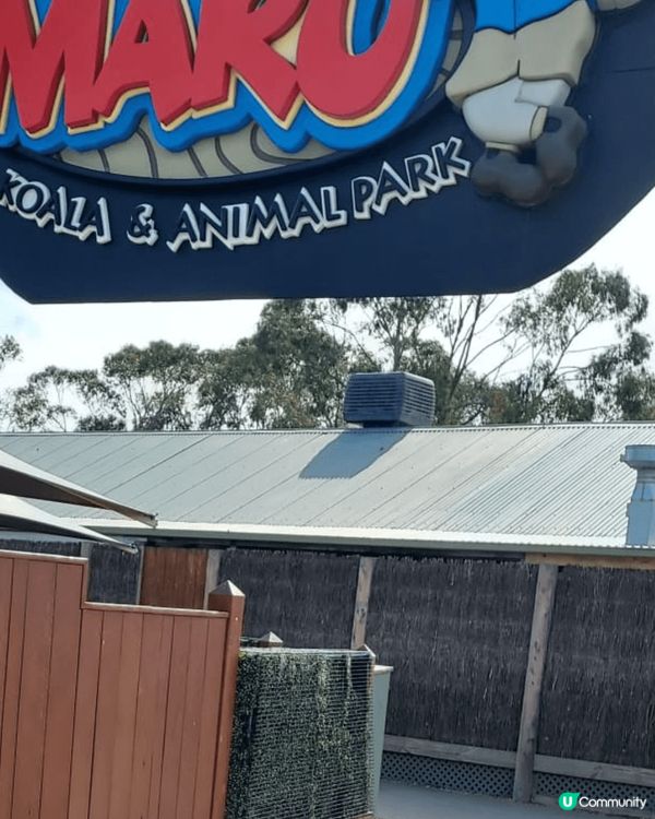 澳洲動物園和火車站，推介原因可坐在火車兩側伸對腳出去，又得意...
