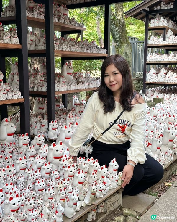 打卡❤️東京豪德寺