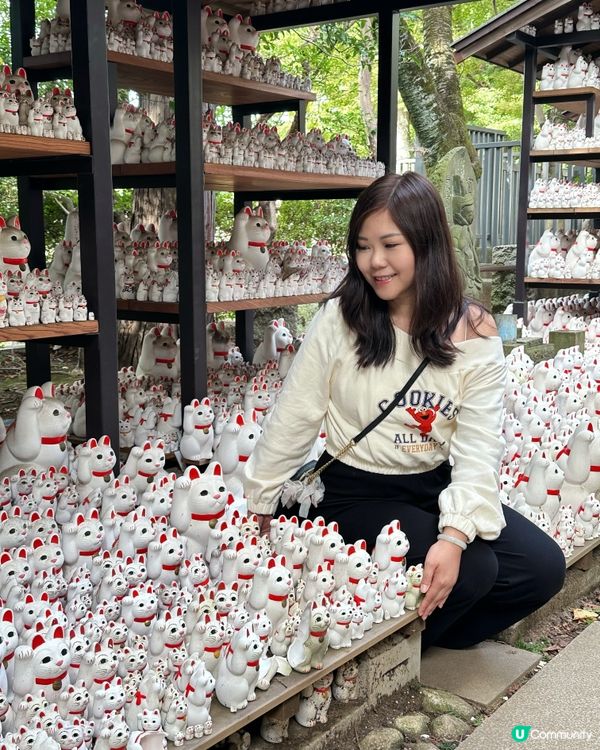 打卡❤️東京豪德寺