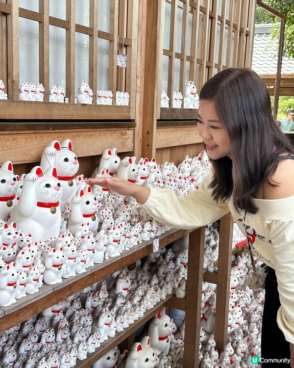 打卡❤️東京豪德寺