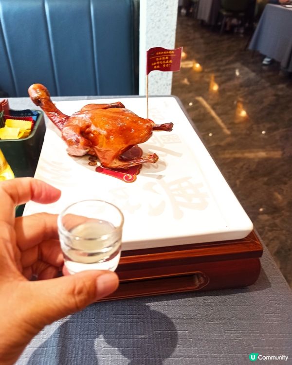 喜上鴿一枱送一乳鴿