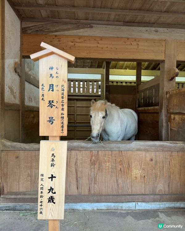 日本高松自駕遊