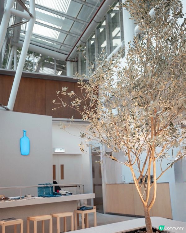 𓍲 𝖡𝗅𝗎𝖾 𝖡𝗈𝗍𝗍𝗅𝖾•巨設計感東涌店開幕🎉