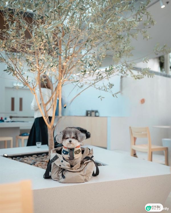 𓍲 𝖡𝗅𝗎𝖾 𝖡𝗈𝗍𝗍𝗅𝖾•巨設計感東涌店開幕🎉