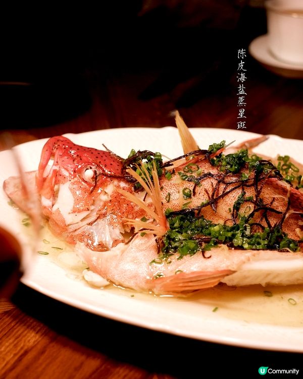 #團年飯推介家宴新體驗，真味尋味之旅 🥢✨