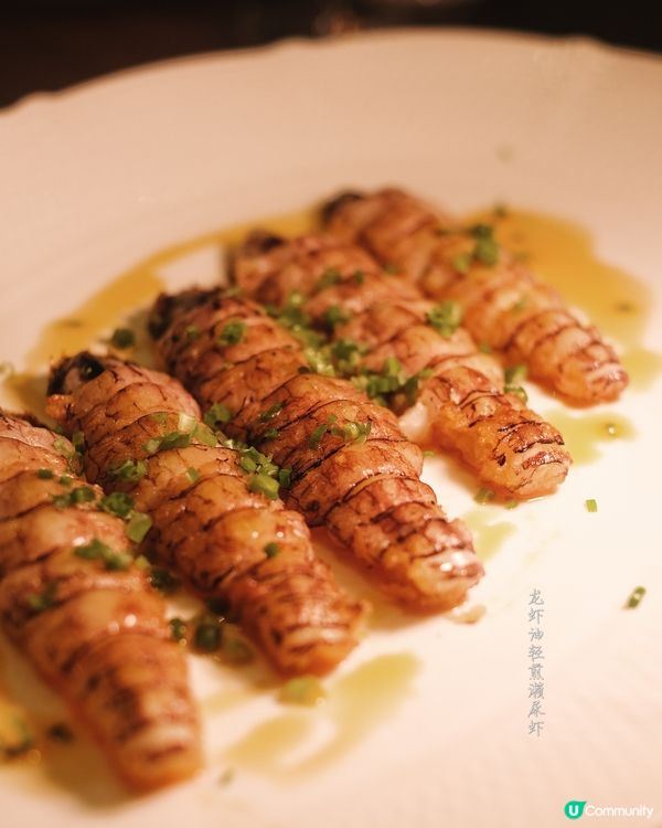 #團年飯推介家宴新體驗，真味尋味之旅 🥢✨